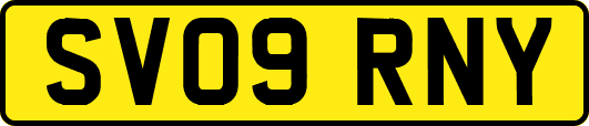 SV09RNY