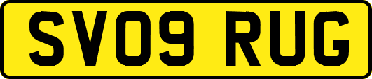 SV09RUG