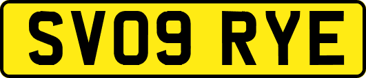 SV09RYE