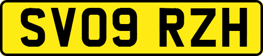 SV09RZH
