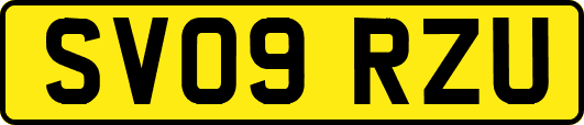 SV09RZU