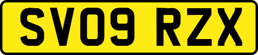 SV09RZX