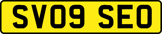 SV09SEO
