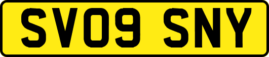SV09SNY