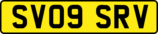 SV09SRV
