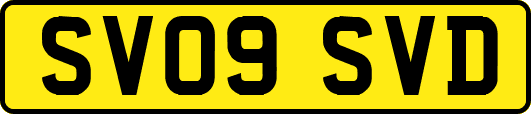 SV09SVD