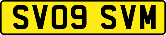 SV09SVM