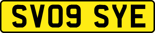 SV09SYE