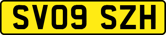 SV09SZH