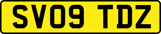 SV09TDZ