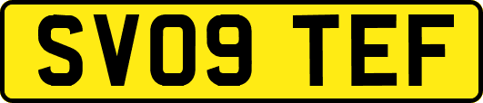 SV09TEF