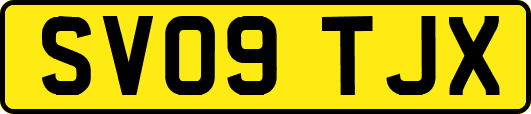 SV09TJX