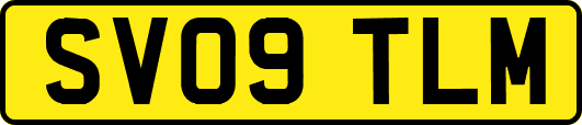 SV09TLM