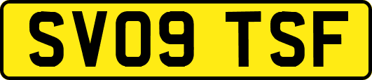 SV09TSF