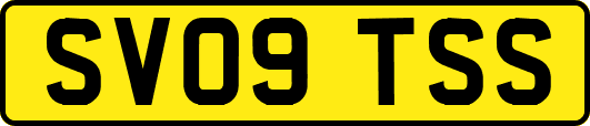 SV09TSS
