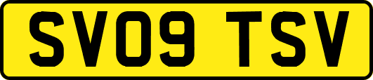SV09TSV