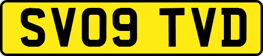 SV09TVD