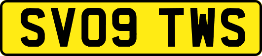 SV09TWS