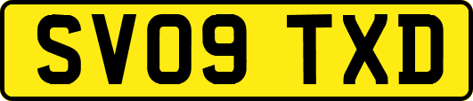 SV09TXD