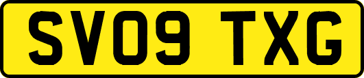 SV09TXG