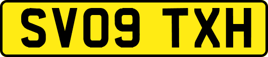 SV09TXH