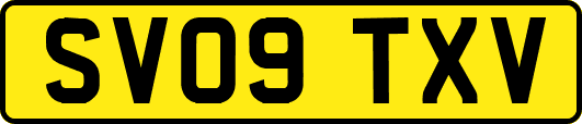 SV09TXV