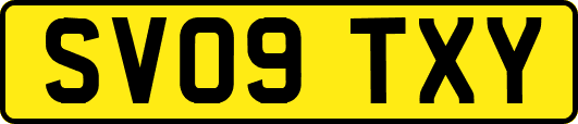 SV09TXY