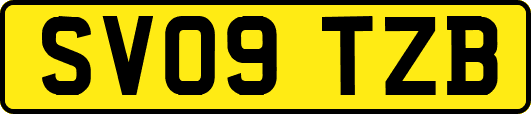 SV09TZB