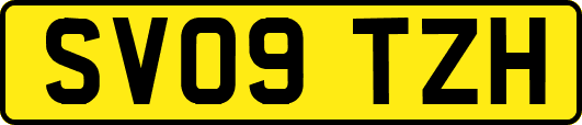 SV09TZH