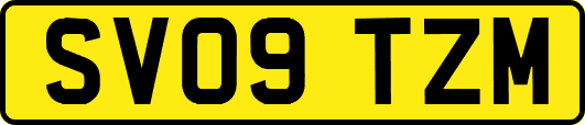 SV09TZM