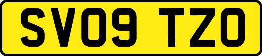 SV09TZO