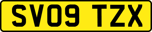 SV09TZX