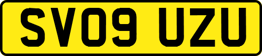 SV09UZU