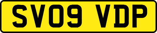 SV09VDP