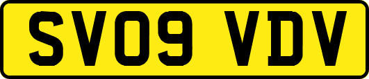 SV09VDV