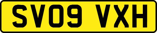 SV09VXH