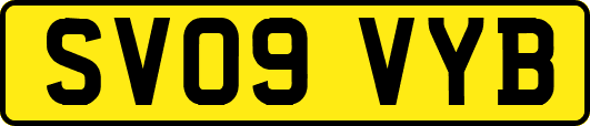 SV09VYB
