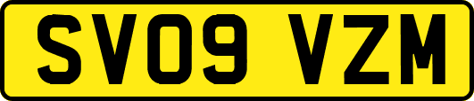 SV09VZM