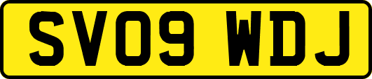 SV09WDJ