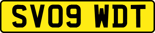 SV09WDT