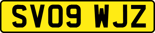 SV09WJZ