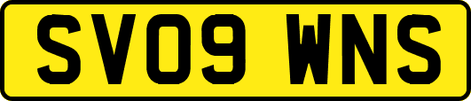 SV09WNS
