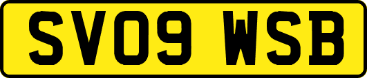 SV09WSB
