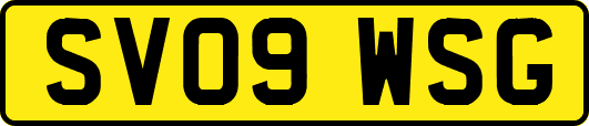 SV09WSG