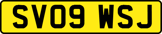 SV09WSJ