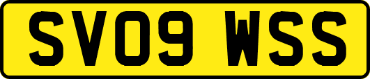 SV09WSS