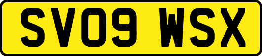 SV09WSX