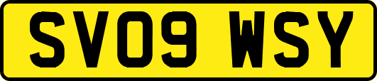 SV09WSY