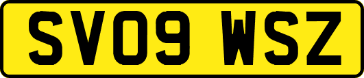 SV09WSZ