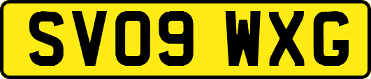 SV09WXG